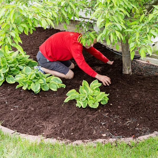 mulch installation mulch installation can act as a protective layer to help prevent erosion in your yard